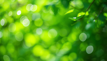 Similar image 22385448