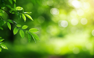 Similar image 22385563