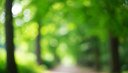 Similar image 22385707