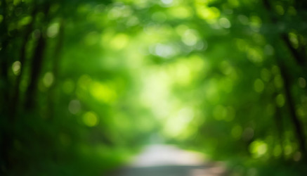 Similar image 22385759