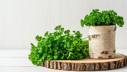 Similar image 22384307