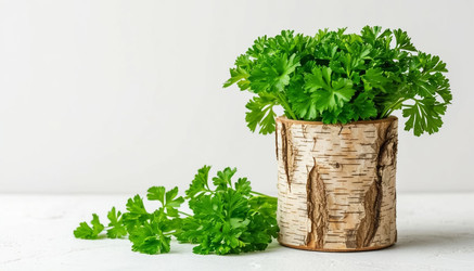 Similar image 22384354