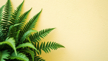 Similar image 22385000