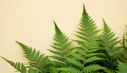 Similar image 22385073