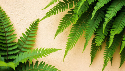 Similar image 22385133