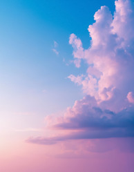 Similar image 22384806