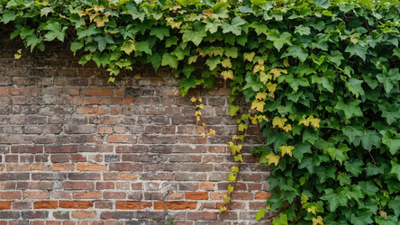 Similar image 22385134