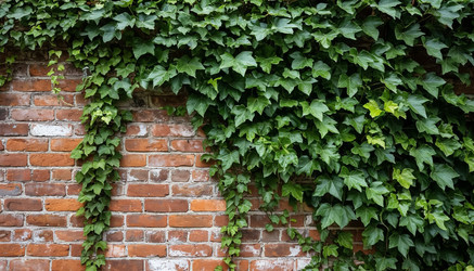 Similar image 22385191