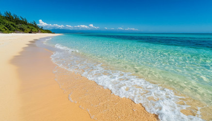 Similar image 22350058