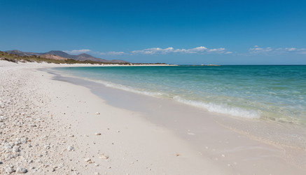 Similar image 22384551