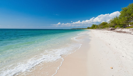 Similar image 22351669