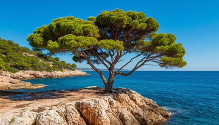 Similar image 22384879