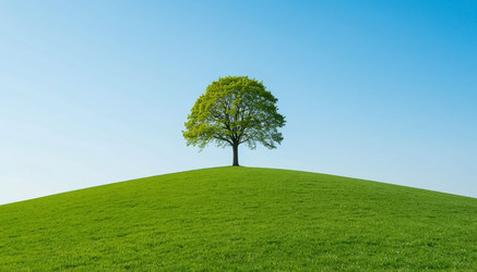 Similar image 22381162