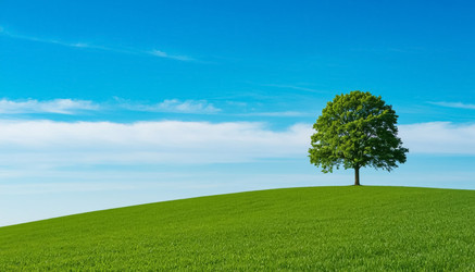 Similar image 22381219