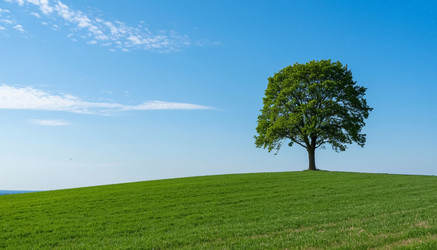 Similar image 22381265