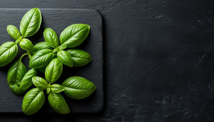 Similar image 22381166