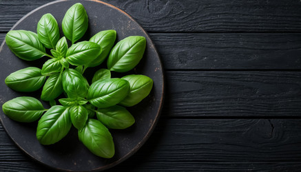 Similar image 22381223