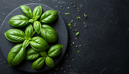 Similar image 22381280