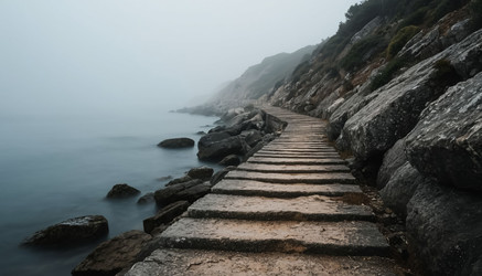 Similar image 22384377