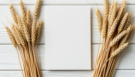 Similar image 22384824