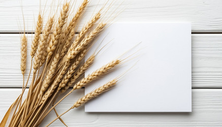 Similar image 22384895