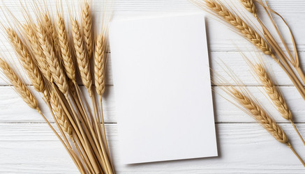 Similar image 22384957