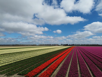 Similar image 22364832