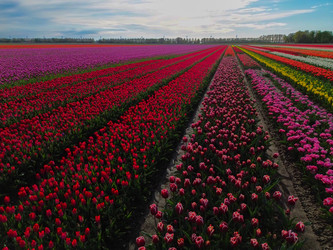 Similar image 22364833