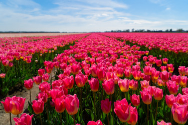 Similar image 22364848