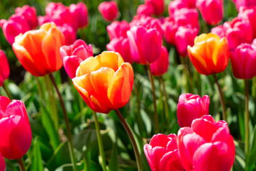 Similar image 22364849