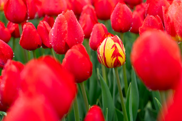 Similar image 22364850