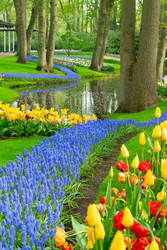 Similar image 22364442