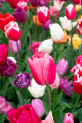 Similar image 22364443