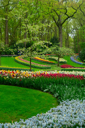 Similar image 22364458