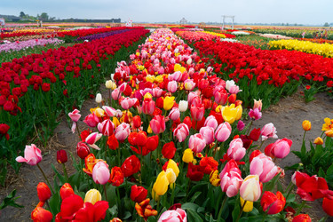 Similar image 22364488