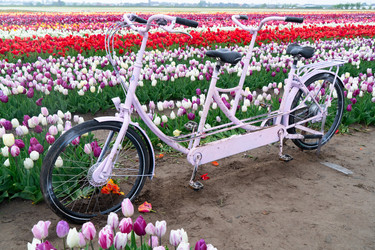 Similar image 22364489