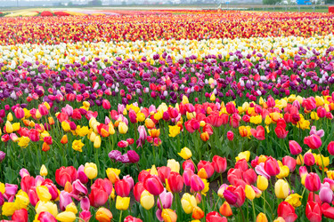 Similar image 22364502