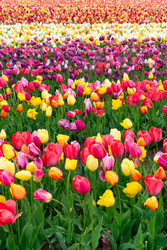 Similar image 22364503