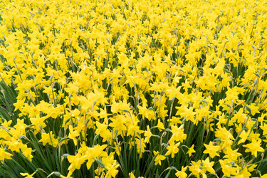 Similar image 22364504