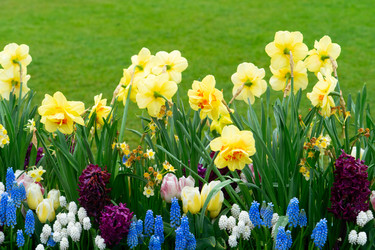 Similar image 22364505