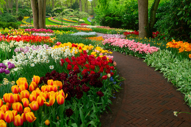 Similar image 22364517