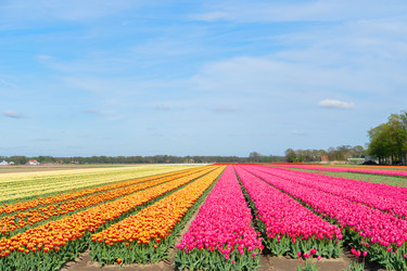 Similar image 22364519