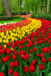 Similar image 22364520