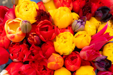 Similar image 22364532