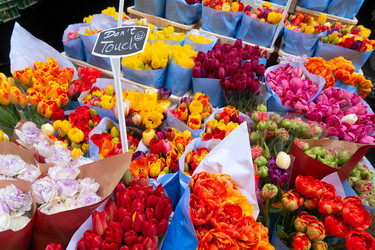 Similar image 22364533