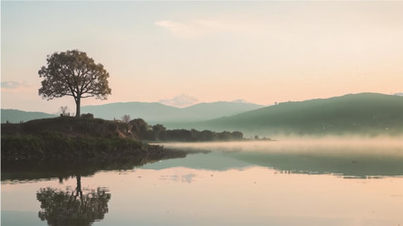 Similar image 22385482