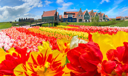 Similar image 22351644