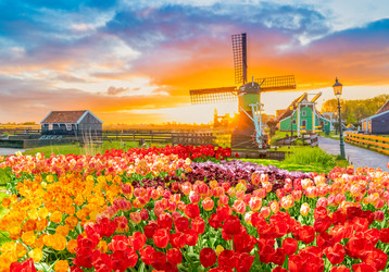 Similar image 22351647