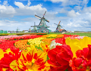 Similar image 22351650