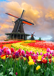 Similar image 22351656